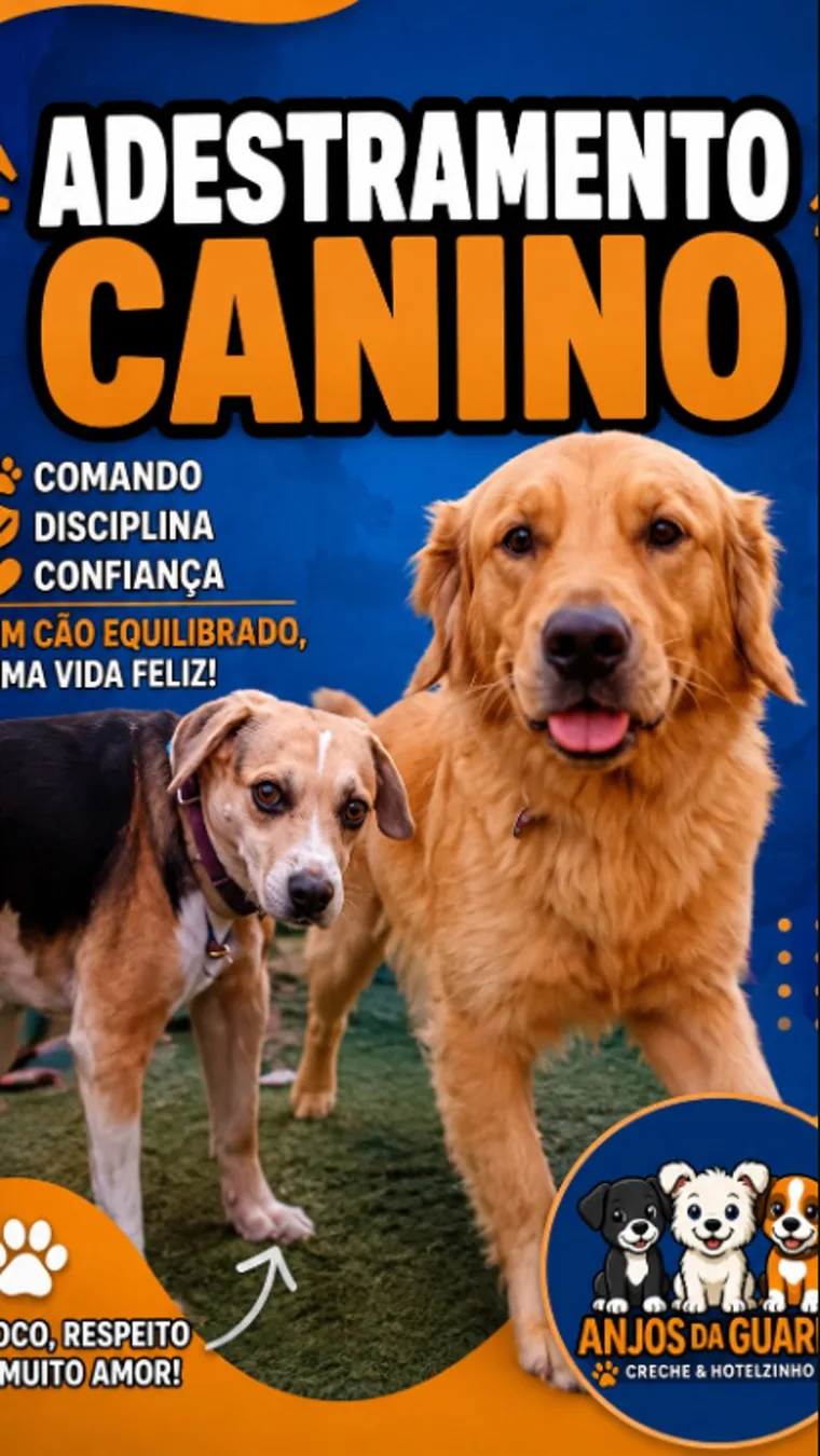 Cães durante sessão de adestramento canino