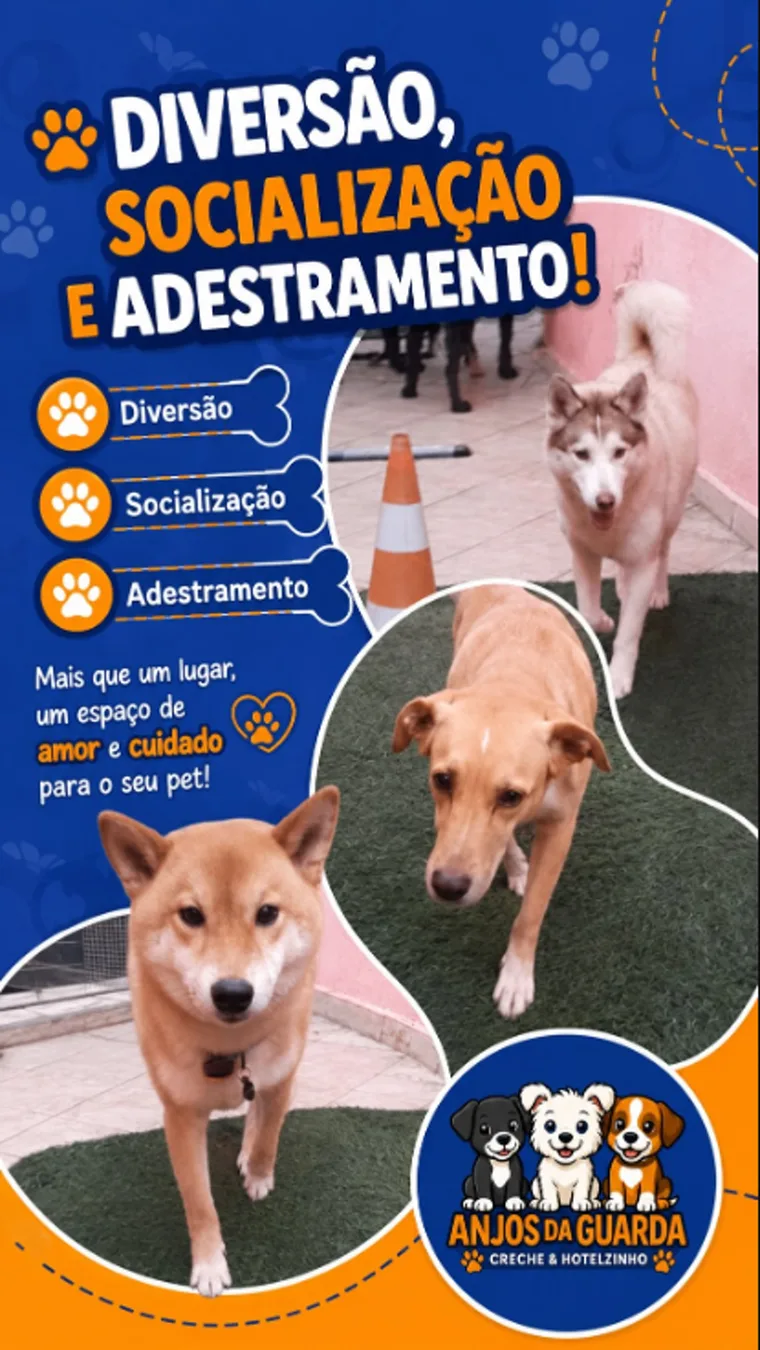 Cães socializando no espaço da creche