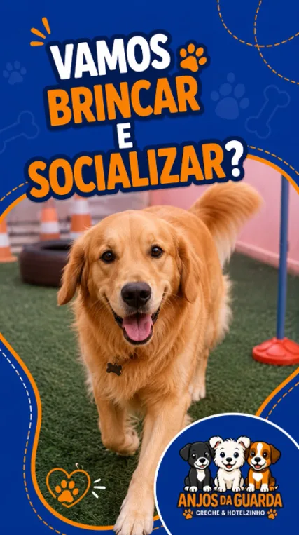 Cão brincando em piso de grama sintética no espaço da creche
